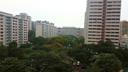 Blk 4 Haig Road (Geylang), HDB 3 Rooms #170261652